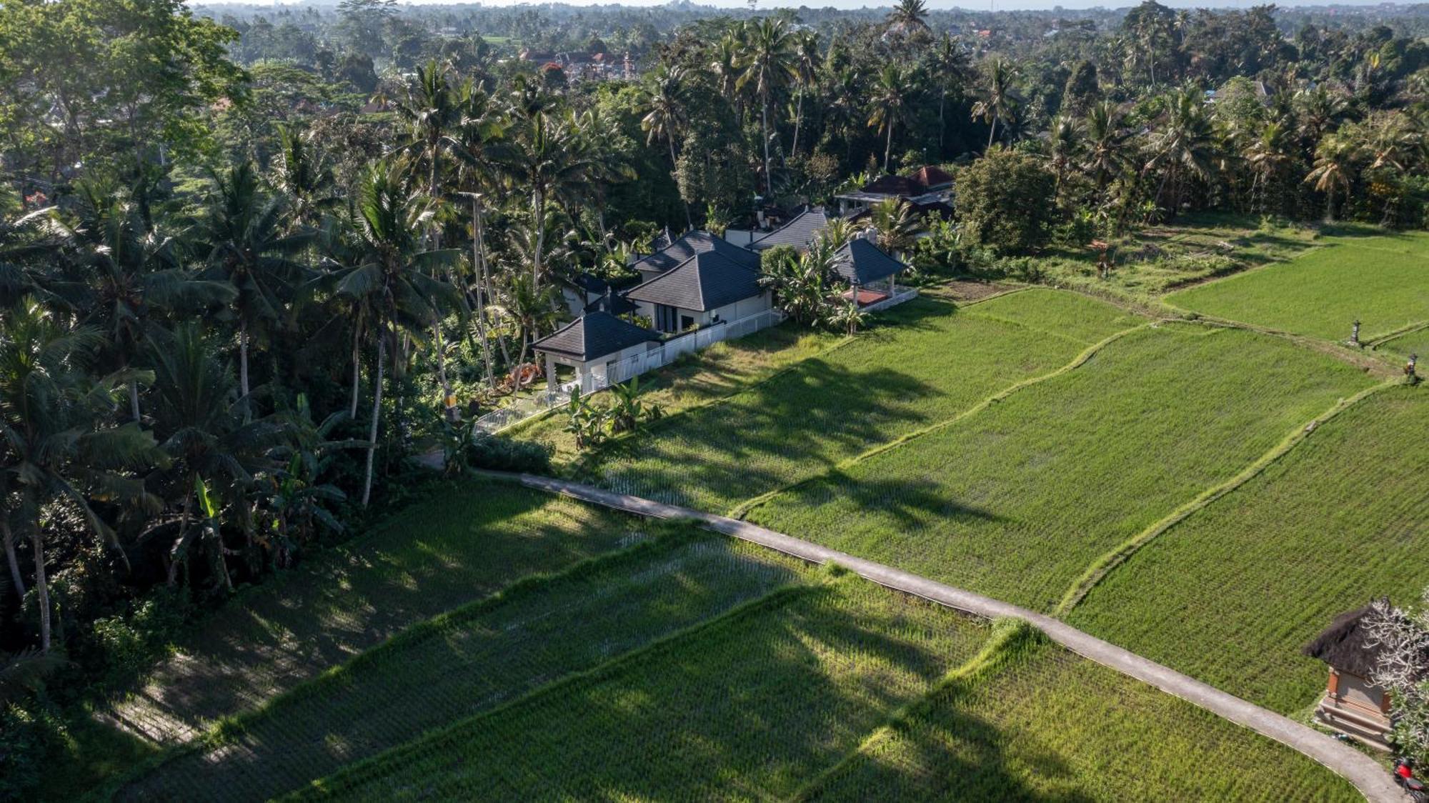 Capung Asri Eco Luxury Resort With Private Pool Villas Bedulu Extérieur photo