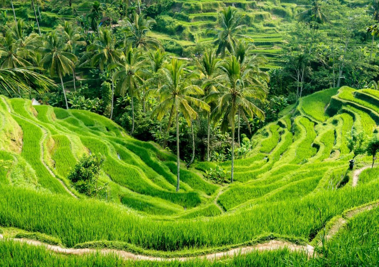 Capung Asri Eco Luxury Resort With Private Pool Villas Bedulu Extérieur photo