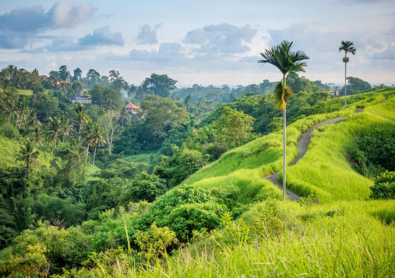 Capung Asri Eco Luxury Resort With Private Pool Villas Bedulu Extérieur photo